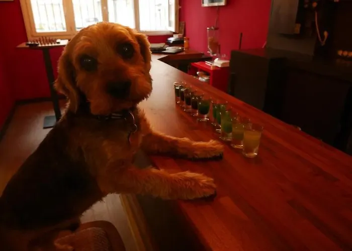 Street Art 2* روان